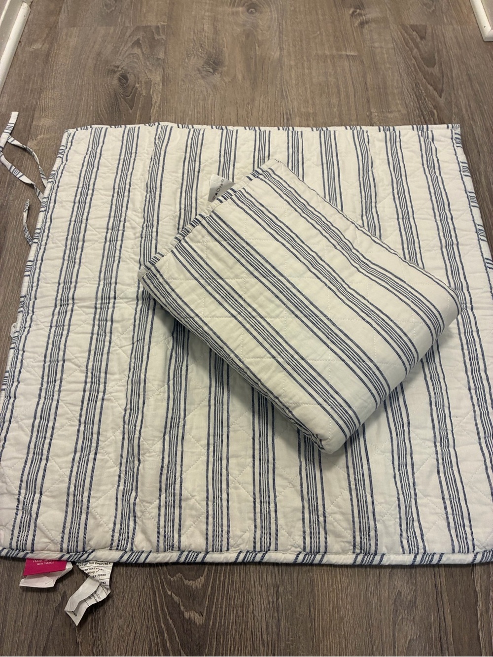 Isaac Mizrahi blue and white striped Euro Shams